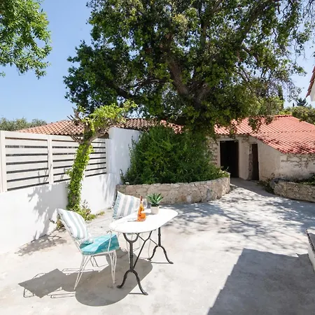 Observer By Villa